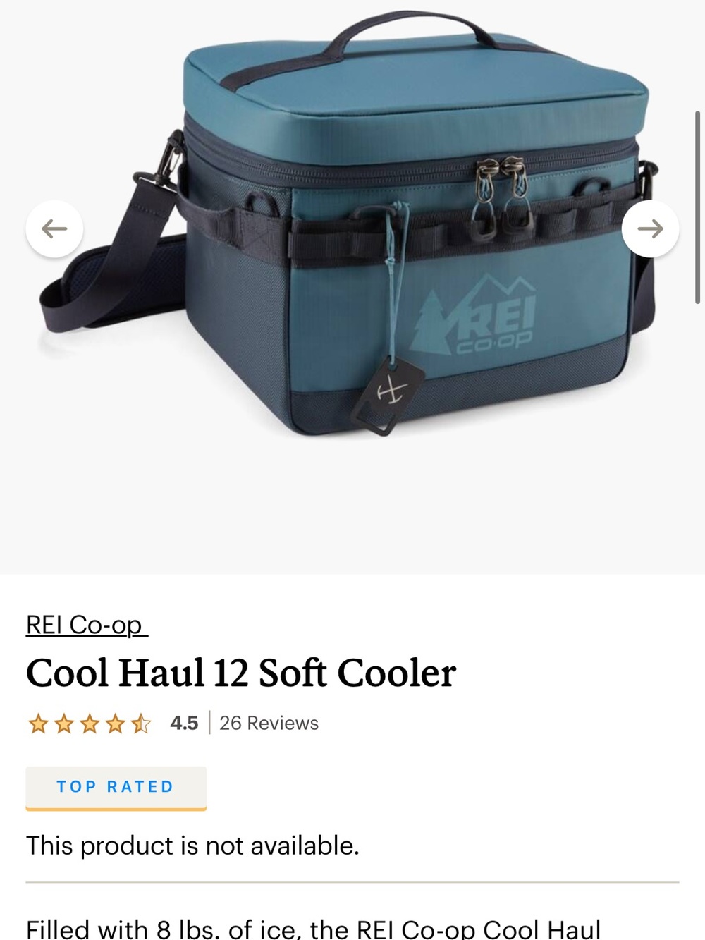 REI Cooler - LIKE NEW